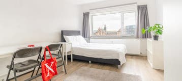 Studio te huur in Delft - 20 m² - 1 kamer(s), Huizen en Kamers, Delft