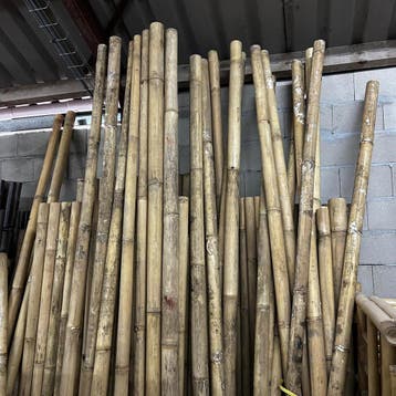 Outlet - Bamboepalen naturel (diverse formaten) - 300 cm, Verzenden, Nieuw