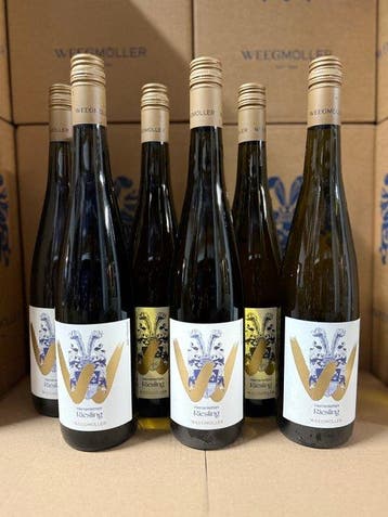 2023 Weingut Weegmüller - Riesling Herrenletten - Pfalz - 6, Verzamelen, Nieuw