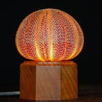 Tafellamp - Echte Zee-egel - Tafellamp - Natuurlijke Kleuren