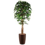 Ficus kunstplant, H210cm, Ophalen of Verzenden, Overige soorten, 200 cm of meer