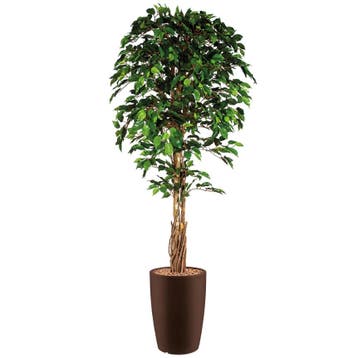 Ficus kunstplant, H210cm, Ophalen of Verzenden, Overige soorten, 200 cm of meer