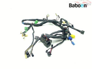 Kabelboom Suzuki VL 250 Intruder 2000-2007 (VL250), Verzenden, Gebruikt