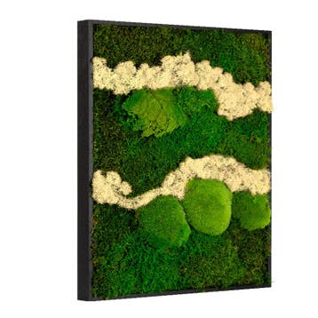 Vintlux Mosschilderij Lappenmos-Rendiermos-Bolmos 60x60 cm, Nieuw