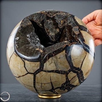 Septarische bol met calcietkristallen – Fascinerende geode