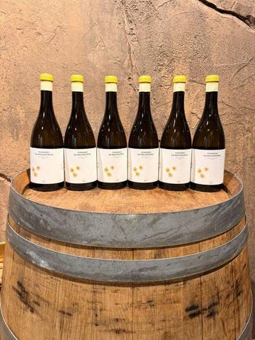 2024 Herdade Malhadinha Nova, Viosinho da Malhadinha -, Verzamelen, Nieuw