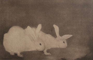 Jan Mankes (1889-1920) - Twee konijntjes
