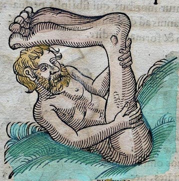 World - Illustreerd blad uit de Renaissance; Conrad, Boeken, Nieuw