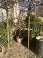 Woningruil - Kelvinstraat 18A - 3 kamers en Utrecht, Utrecht