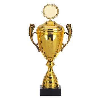Trofee handvatten en deksel (30 cm.), Verzenden, Nieuw, Feestartikel