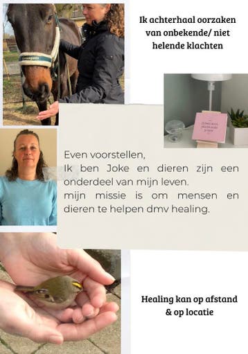 Niet herstellende klachten, onbekende klachten? Healingen, Diensten en Vakmensen, Paranormale therapie
