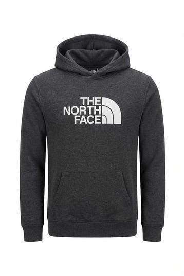The North Face Hoodie Jongens in maat 164 Grijs, Verzenden, Zo goed als nieuw, The North Face, Jongen of Meisje