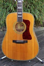Framus - Dreadnought FD-Serie mit Fishman Tonabnehmer - -, Nieuw