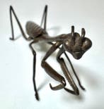 Kamakiri - sculptuur Brons - Japan (Zonder minimumprijs)