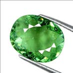 Paraiba toermalijn - 5.96 ct - International Gemological, Nieuw