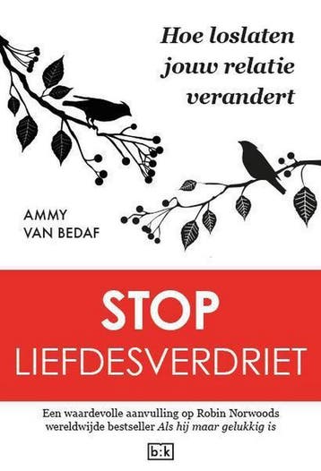 Stop liefdesverdriet - Ammy van Bedaf 9789491472763, Verzenden, Zo goed als nieuw, Ammy van Bedaf