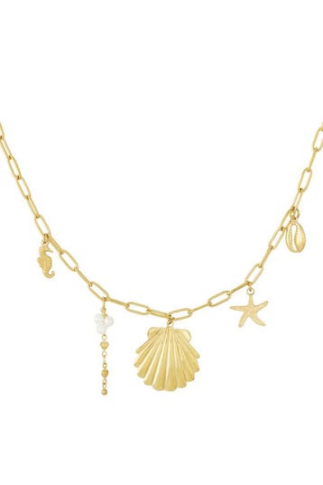 Goudlief Large beachy ketting (Hangerkettingen, Kettingen), Verzenden, Nieuw, Zilver, Overige materialen