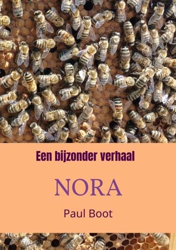 Een bijzonder verhaal Nora - Paul Boot 9789465315270, Boeken, Verzenden, Zo goed als nieuw, Paul Boot