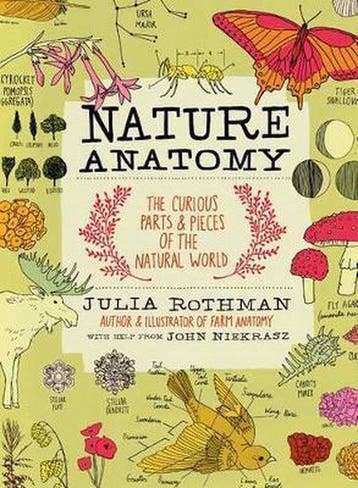 9781612122311 Nature Anatomy | Tweedehands, Verzenden, Zo goed als nieuw, Julia Rothman