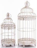 Vogelkooi (2) - Staal