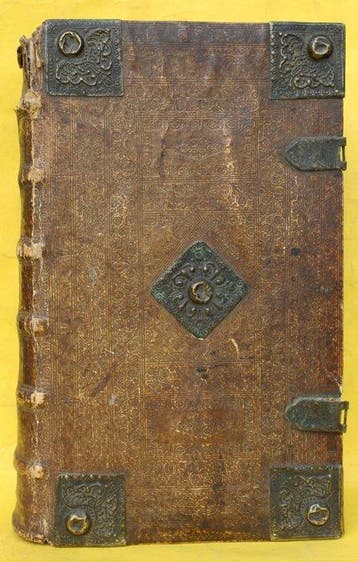 Biblia germanica.: Biblia, Das ist: Die gantze Heilige