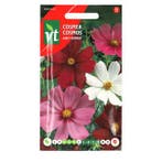 Bloemzaden Cosmea | VT, Verzenden