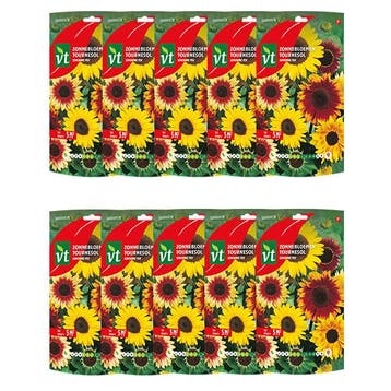Bloemzaden zonnebloem | VT | 10 stuks (Gemengd, 5 m²), Tuin en Terras, Verzenden
