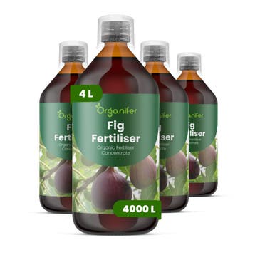 Vloeibare vijgenmeststof - 4x1 liter, Verzenden, Mest
