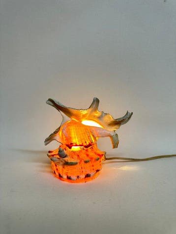 schelp Zeeschelp - Seashell Table Lamp (Zonder minimumprijs), Verzamelen, Nieuw