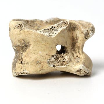 Oud-Romeins Been Astragalus (Knucklebone) voor gaming