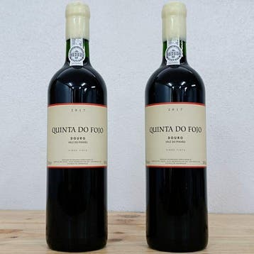 2017 Quinta do Fojo - Douro DOC - 2 Flessen (0.75 liter), Nieuw