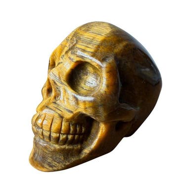 Premium tijgeroog-schedel Gravure - Hoogte: 50 mm - Breedte: