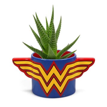 DC Comic Wonderman Bloempot, Ophalen of Verzenden, Nieuw