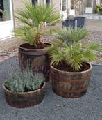 Eiken houten bloembakken - set van 3 - eiken - whiskyvaten, Rond, Ophalen of Verzenden, Zo goed als nieuw, Balkon