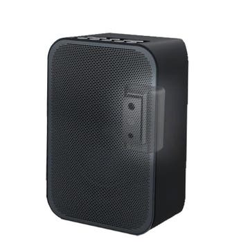 Cavus muurbeugel voor Bluesound Pulse Flex Zwart, Verzenden, Nieuw