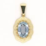 Hanger - 14 karaat Geel goud Spinel
