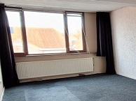 Studio Zeelsterstraat in Eindhoven, Overige soorten, Noord-Brabant