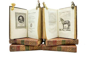 P. Bernard & Buffon - Histoire naturelle de Buffon. Histoire
