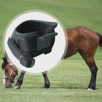 Duurzame Hoefschoenen voor Paarden - Bescherming bij Trainin