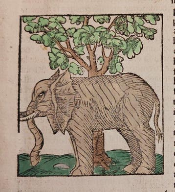 Sebastian Münster (1489–1552) - Cosmographie Universelle -, Antiek en Kunst