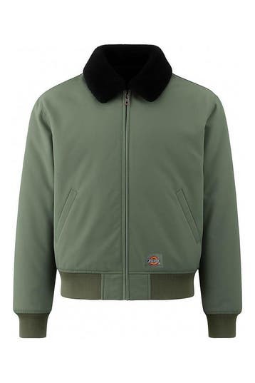 Dickies Jas in maat M Overig, Kleding | Heren, Verzenden, Zo goed als nieuw, Overige kleuren, Dickies
