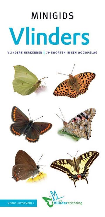Set Minigids Vlinders |  | Nieuw, Boeken, Natuur, Ophalen of Verzenden, Nieuw