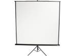 Veiling - Beamerscherm - 203x203cm, Nieuw