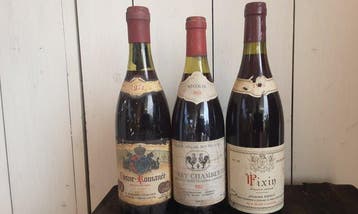 1990 Jacques Kohut, Fixin; 1971 Mugneret-Gouachon Vosne, Nieuw