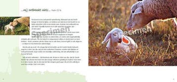 Goede Herder en psalm 23 - Sarah Waldmann 9789059073784, Verzenden, Zo goed als nieuw, Sarah Waldmann