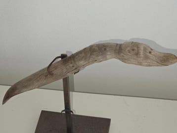 Taíno-cultuur Lokaal hout guayacán Houten braken-spatel met