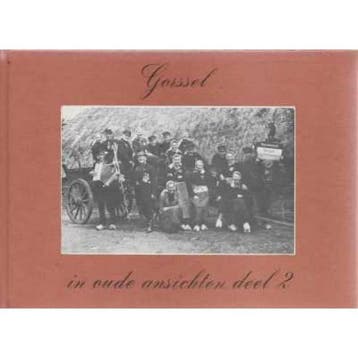 Gorssel in oude ansichten deel 2 - Jansen 9789028801035, Boeken, Verzenden, Gelezen, Jansen