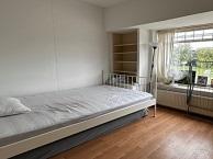 Kamer Floresplein in Groningen, Overige soorten, Groningen