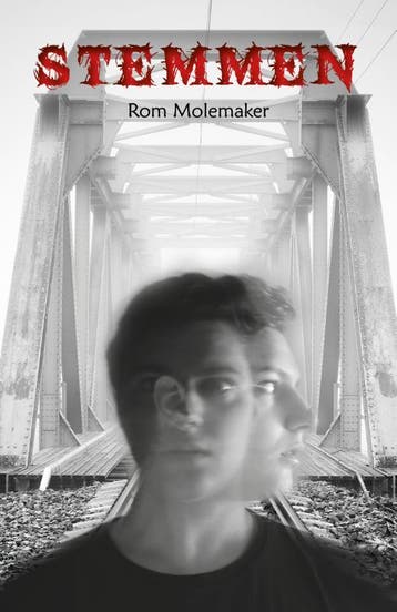 Stemmen | Rom Molemaker | Nieuw, Boeken, Ophalen of Verzenden, Nieuw, Rom Molemaker