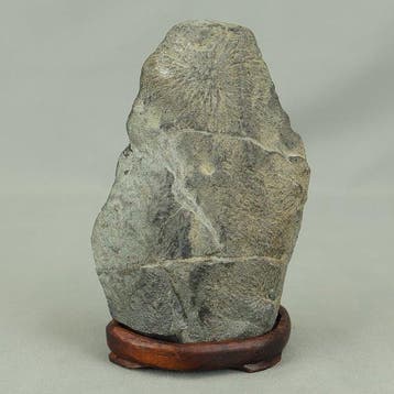 Steen - Suiseki Stone 0,8 kg met houten standaard - Shwa